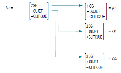 analyse par traits de tu